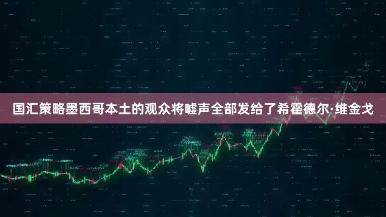 国汇策略墨西哥本土的观众将嘘声全部发给了希霍德尔·维金戈