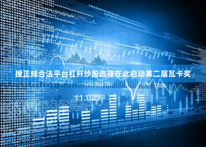 搜正规合法平台杠杆炒股选择在此启动第二届瓦卡奖
