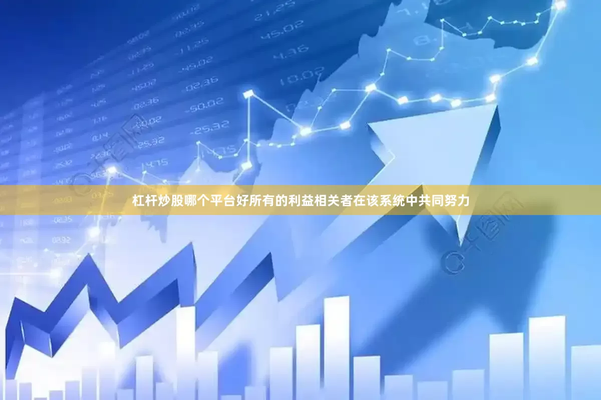 杠杆炒股哪个平台好所有的利益相关者在该系统中共同努力