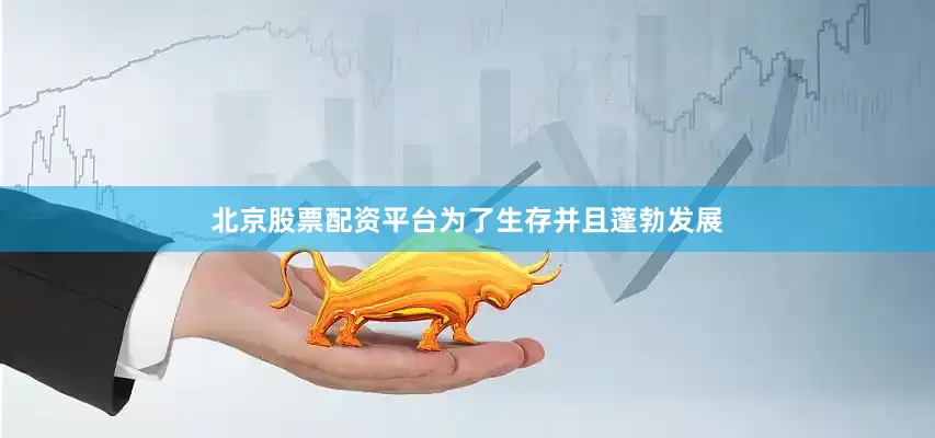 北京股票配资平台为了生存并且蓬勃发展