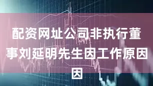 配资网址公司非执行董事刘延明先生因工作原因