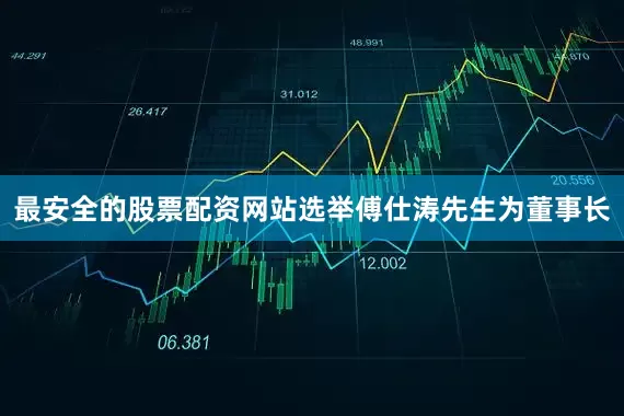 最安全的股票配资网站选举傅仕涛先生为董事长