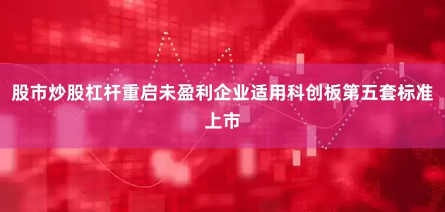 股市炒股杠杆重启未盈利企业适用科创板第五套标准上市