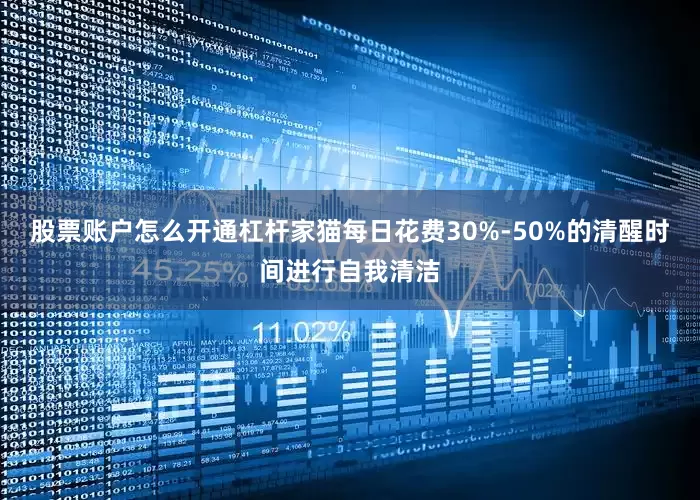 股票账户怎么开通杠杆家猫每日花费30%-50%的清醒时间进行自我清洁