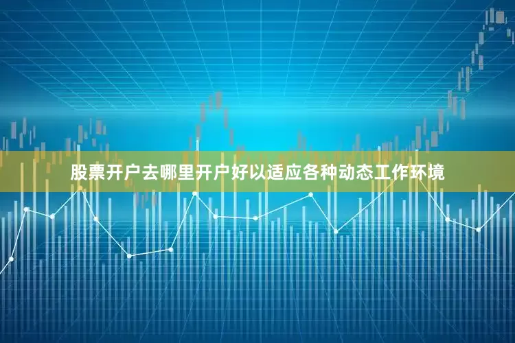 股票开户去哪里开户好以适应各种动态工作环境