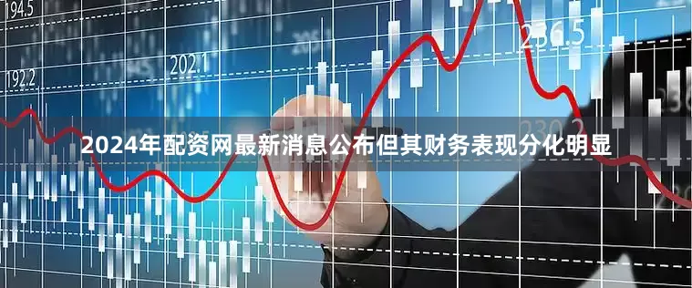 2024年配资网最新消息公布但其财务表现分化明显
