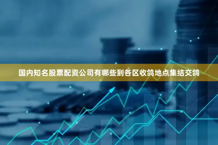 国内知名股票配资公司有哪些到各区收鸽地点集结交鸽