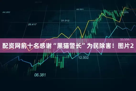 配资网前十名感谢“黑猫警长”为民除害！图片2